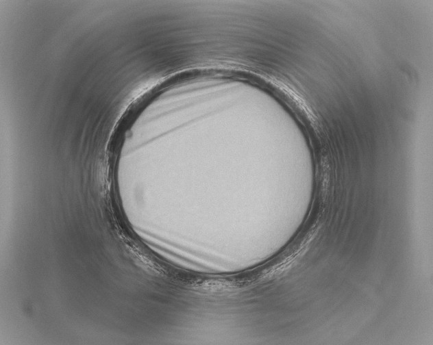 X0000115520974200912040925