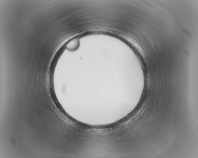 X0000115520976200912040925