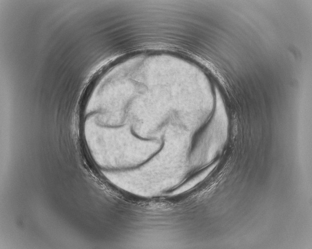 X0000115520979200912040925