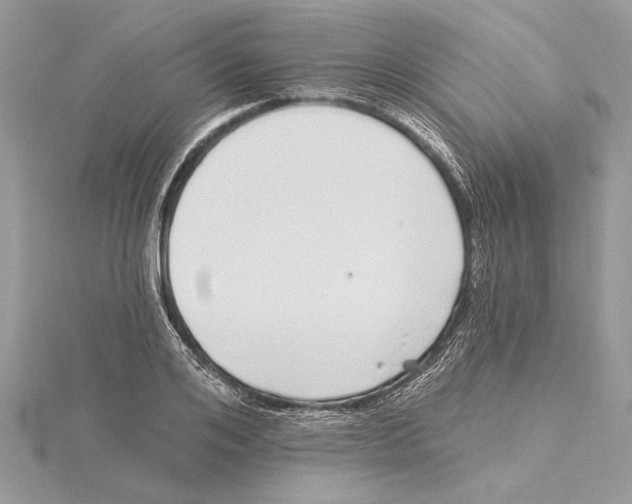 X0000115520984200912040925