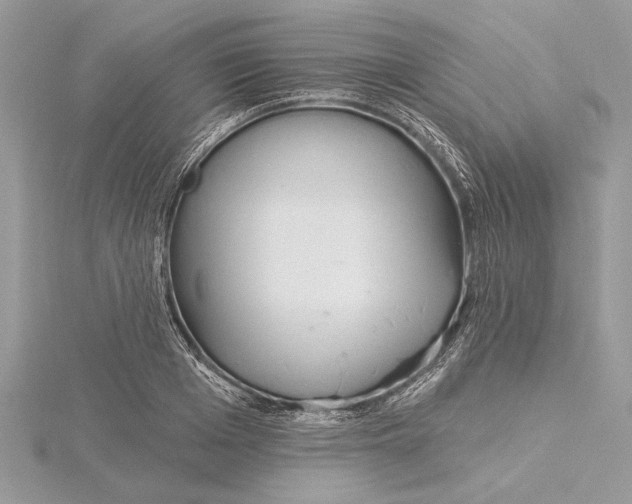 X0000115520985200912040925