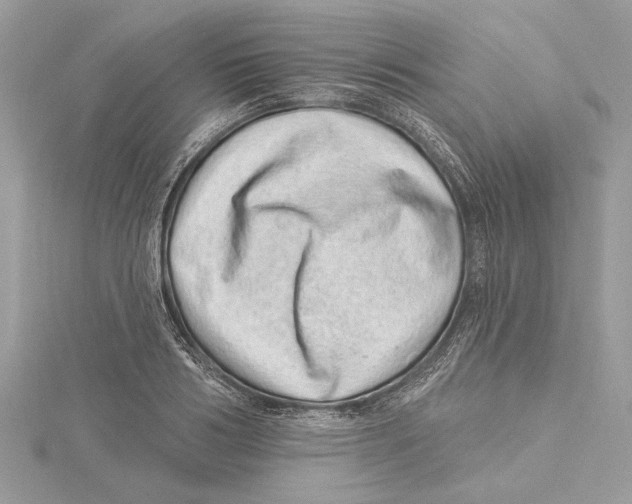 X0000115520986200912040925