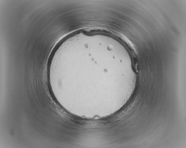 X0000115520988200912040925