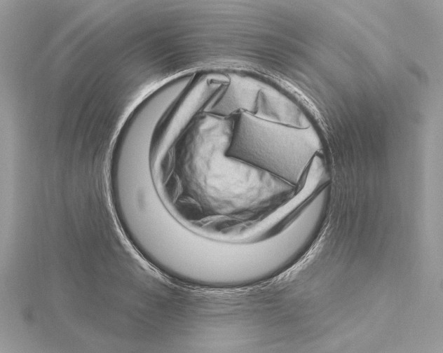 X0000115520989200912040925