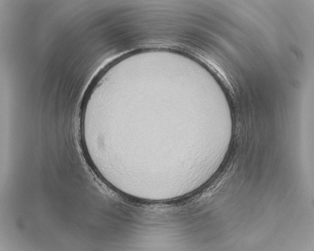 X0000115520992200912040925