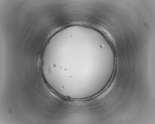 X0000115520993200912040925