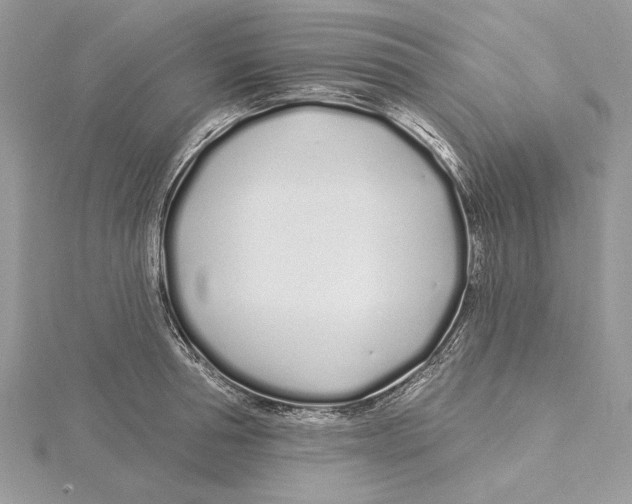 X0000115520994200912040925