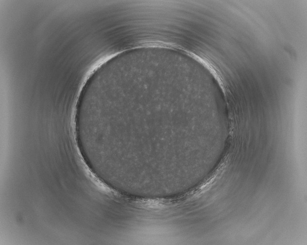 X0000115520995200912040925