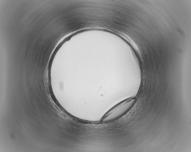 X0000115520996200912040925