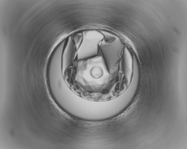 X0000115520997200912040925