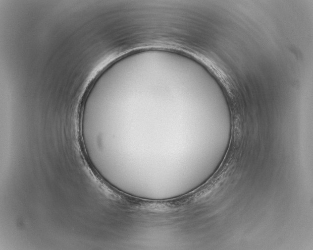 X0000115520998200912040925