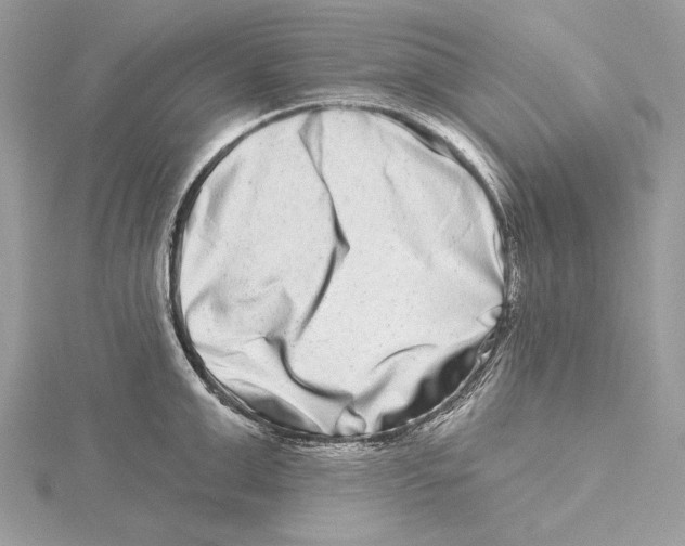 X0000115520999200912040925