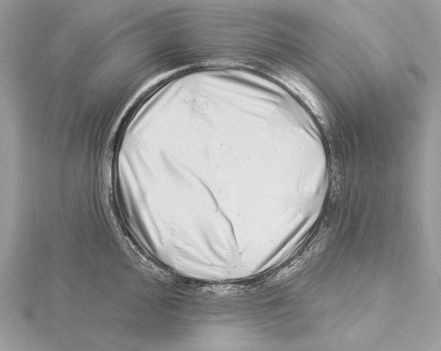 X0000115521000200912040925