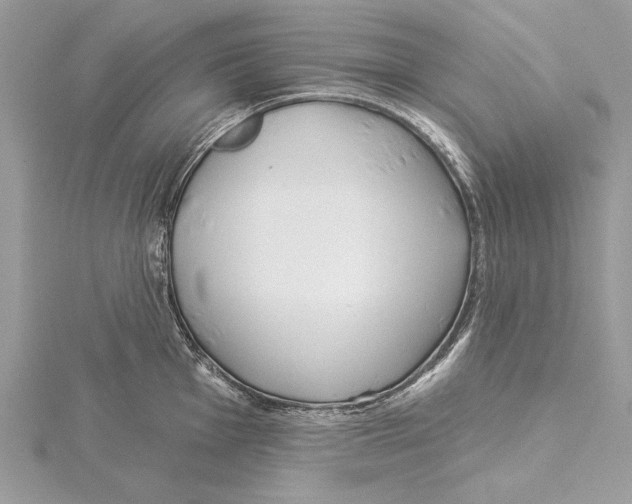 X0000115521001200912040925