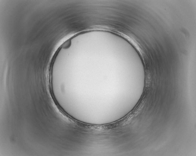 X0000115521003200912040925