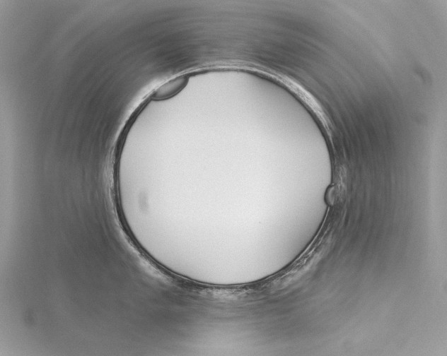 X0000115521005200912040925