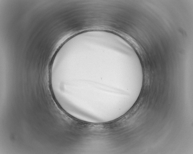 X0000115521006200912040925