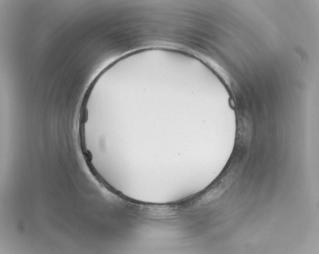 X0000115521007200912040925