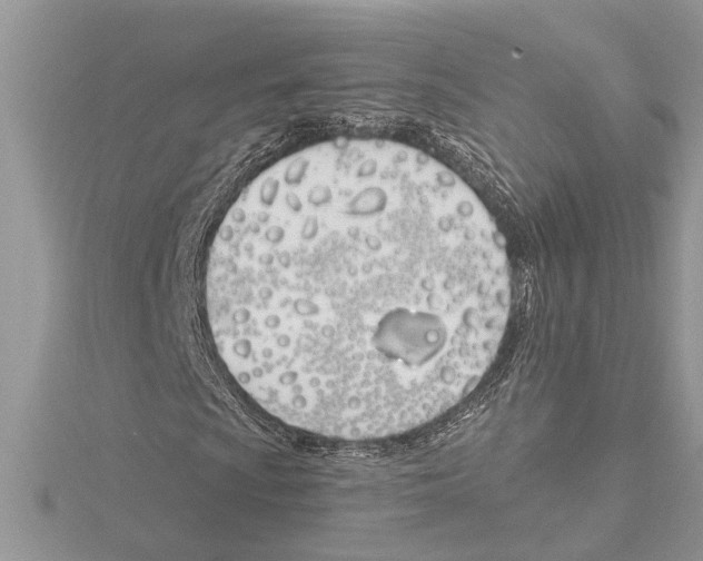 X0000115521009200912040924