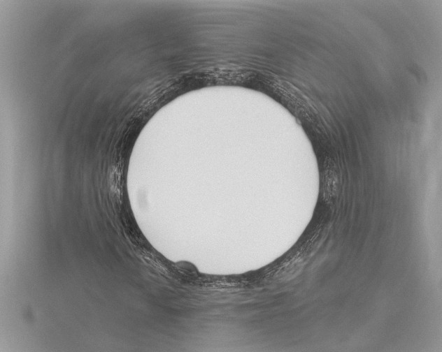 X0000115521010200912040924