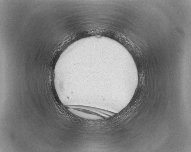 X0000115521012200912040924