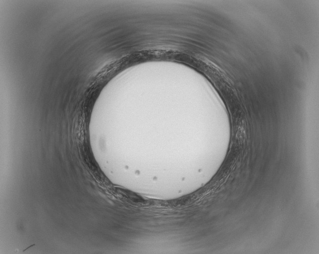 X0000115521014200912040924