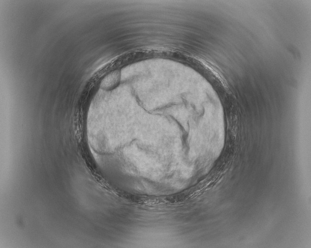 X0000115521015200912040924