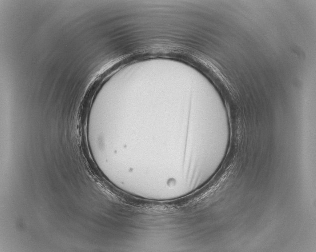 X0000115521018200912040924