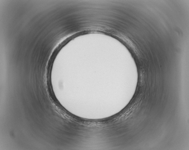 X0000115521020200912040924