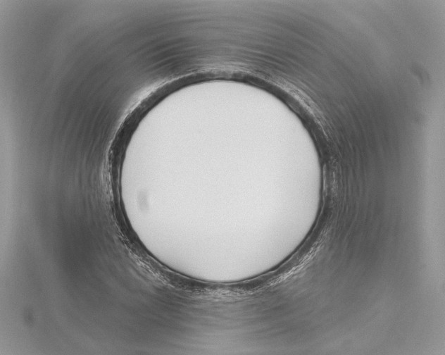 X0000115521022200912040924