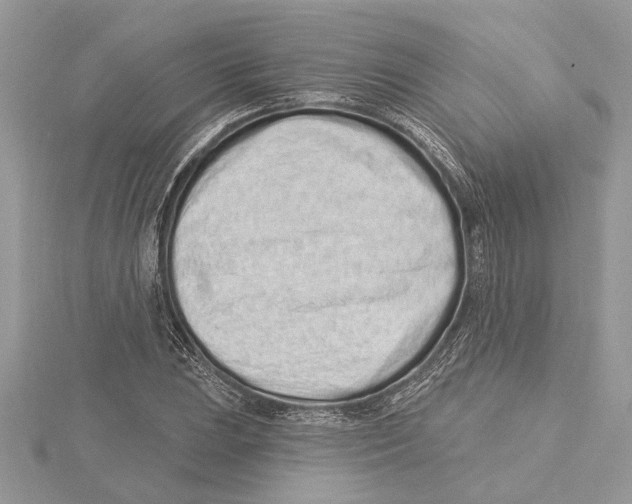 X0000115521023200912040924