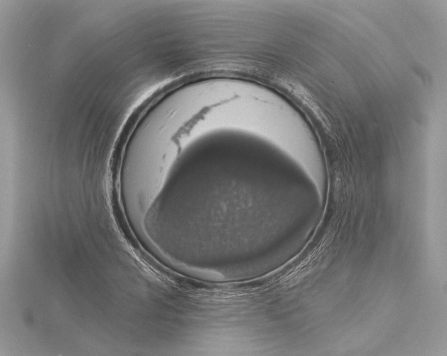 X0000115521024200912040924