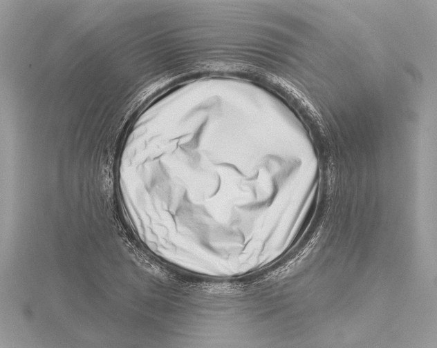 X0000115521025200912040924