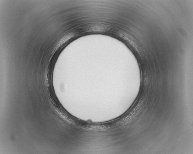 X0000115521026200912040924