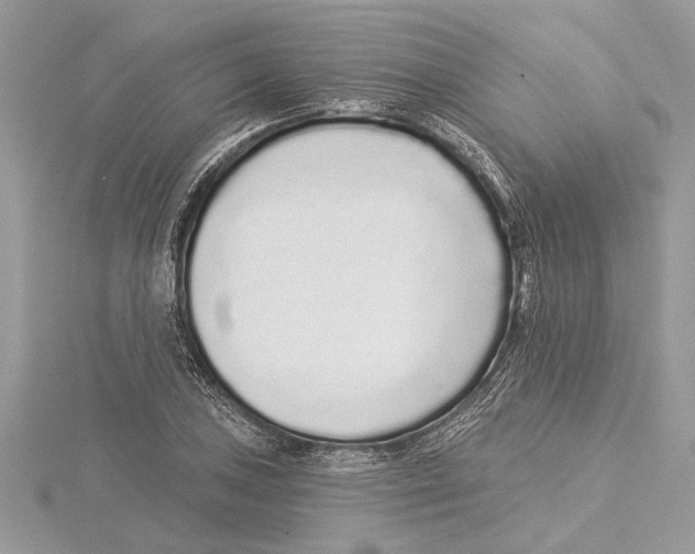 X0000115521027200912040924