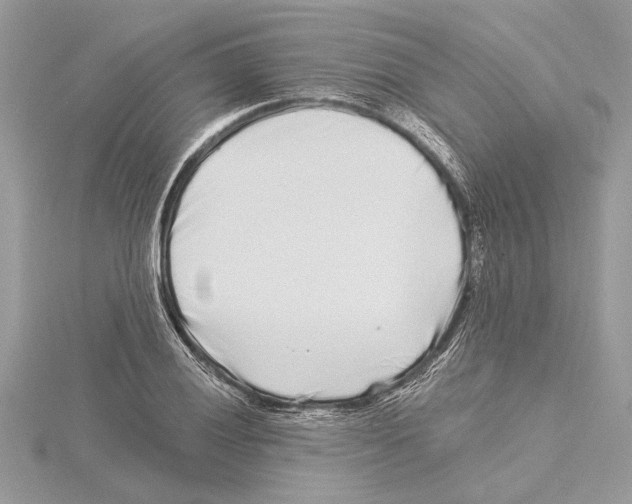 X0000115521028200912040924