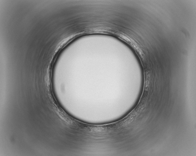 X0000115521031200912040924