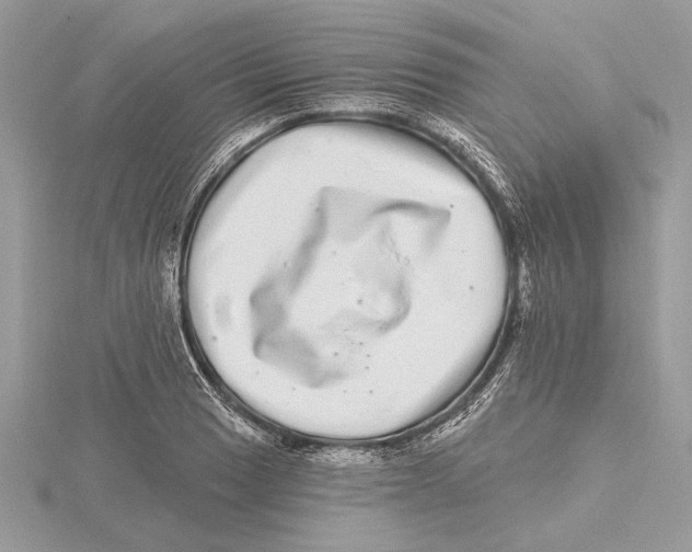 X0000115521033200912040924