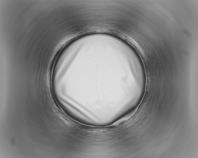 X0000115521035200912040924