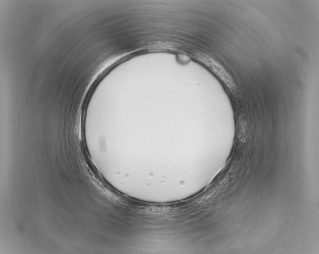 X0000115521036200912040924