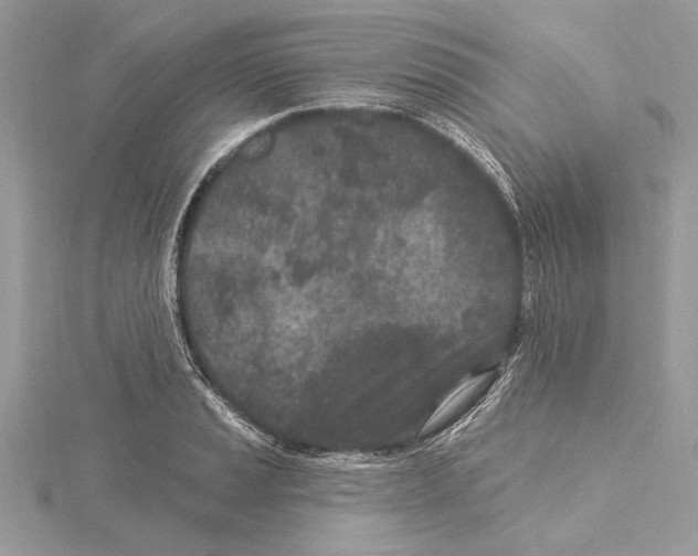 X0000115521037200912040924