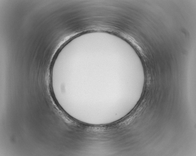 X0000115521040200912040924