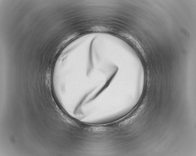 X0000115521041200912040924