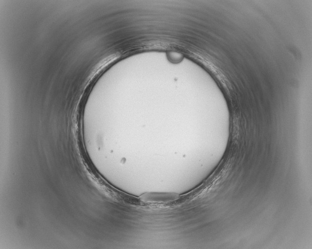 X0000115521042200912040925