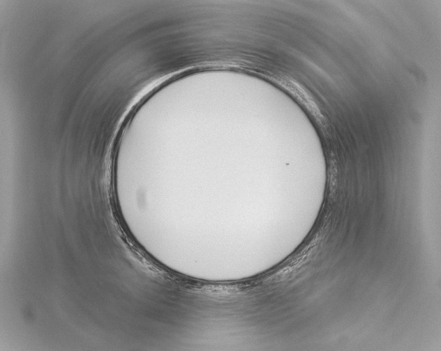 X0000115521044200912040925