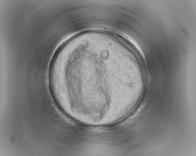 X0000115521045200912040925