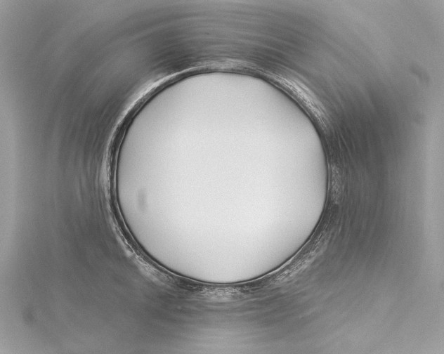 X0000115521046200912040925