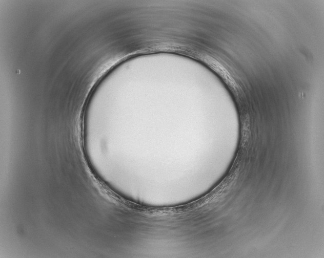 X0000115521047200912040925