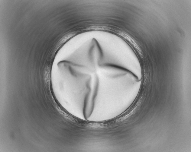 X0000115521049200912040925