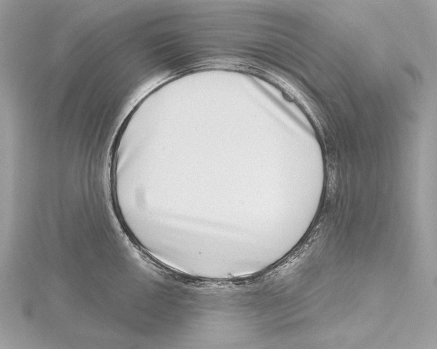 X0000115521050200912040925